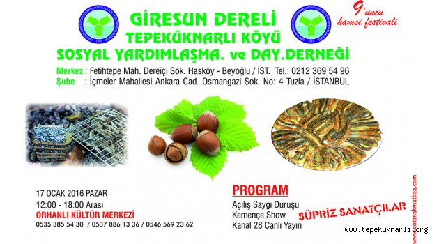 Tepeküknarlı Köyü 9. Hamsi Festivali 17 Ocak'ta Yapılacak