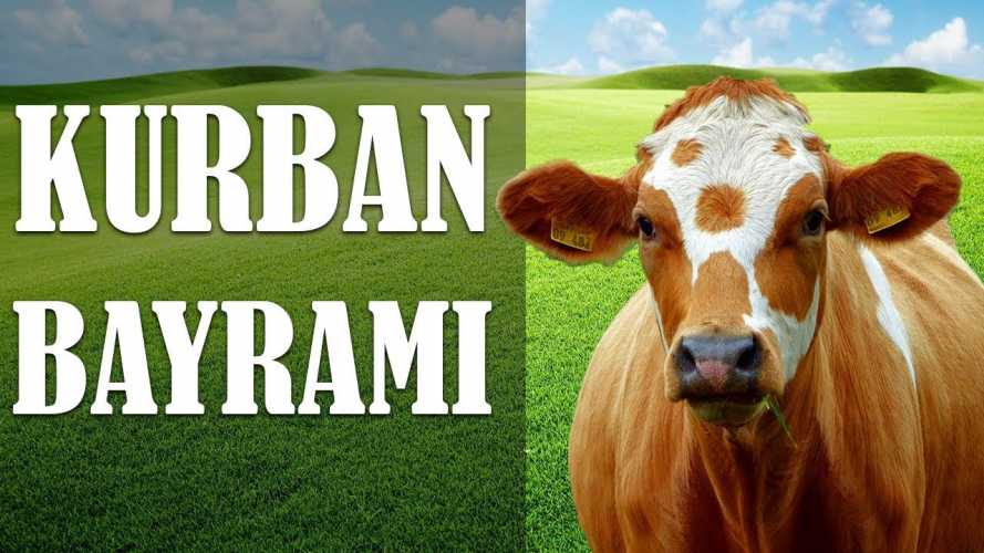 Kurban Bayramı Bilgi